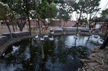 Swad Ri Dhani Ajmer Extérieur photo